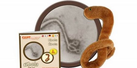 “Everyone’s After One” – Ebola Toy Sold Out