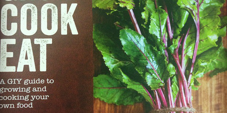 Cook From The Book: Grow, Cook, Eat – A GIY Guide To Growing Your Own Food, By GIY Founder Michael Kelly