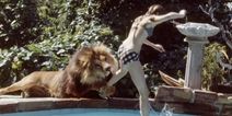 Living With A Lion: Melanie Griffith’s Pet Wasn’t The Typical Family Dog