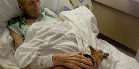 Man’s Best Friend: Sick Man Makes Recovery After Being Reunited With Dog