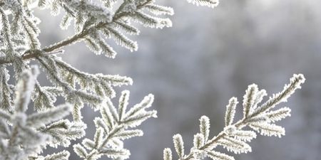 It’s Really Time To Wrap Up: Met Eireann Issue Snow And Ice Weather Warning