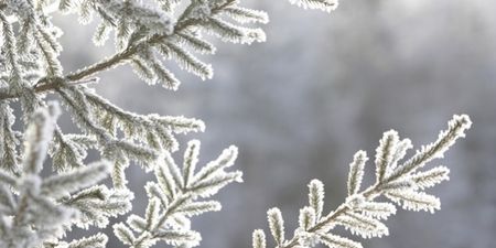 Here We Go Again! Met Éireann Warns Of Snow Showers Overnight