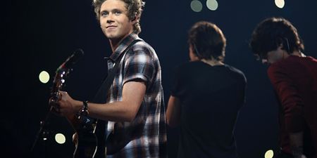 Stealing His Girl?! Niall Horan Writes Song For Liam Payne’s Girlfriend