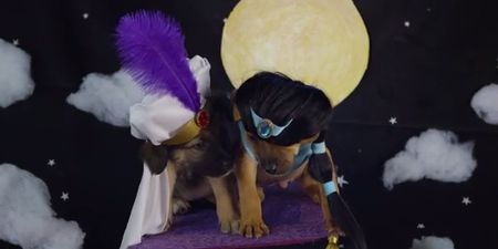 Puppies and Disney Characters?! This Might Be Our Favourite Video Ever…