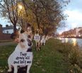 Dogs Are Not Just For Christmas – The Campaign That Broke Our Hearts This Week