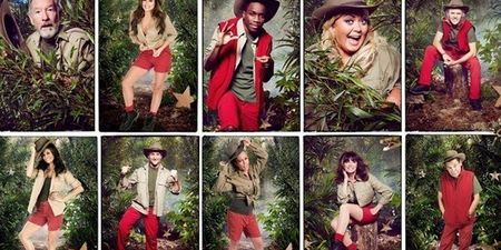 “I’m A Celeb” Crew Member Sent Home After Camp is Plagued By Ticks