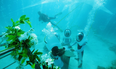Couple Tie The Knot in First Bora Bora Underwater Ceremony