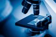Five Important Health Advances Made in 2014