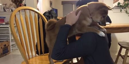 VIDEO: Kibo The Puppy Learns To Give Hugs In Adorable Video