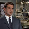 Rod Taylor, Star of Alfred Hitchcock’s The Birds, Has Passed Away