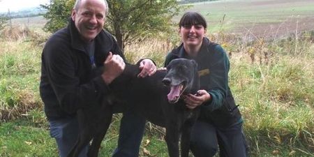 Jed The Dog Finally Finds A Home After Being Rejected By 14,000 Potential Owners
