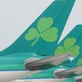Aer Lingus Call Ryanair Out On Twitter After Noticing Photo Fail On Their Website