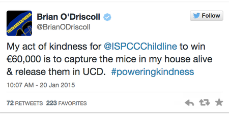 BOD, Amy Huberman And Piers Morgan Are Just A Few Of The Well-Known Faces #PoweringKindness
