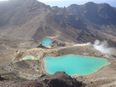 Home is Where Your Passport Is: The Breath-Taking Surrounds of New Zealand