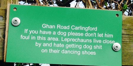 Only in Ireland – This Warning Sign is Simply Perfect