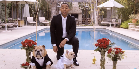 VIDEO: John Legend Performing at the Cutest Wedding EVER