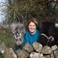 Irish Women In Business: Sinead Muldoon, Home From Home Ireland