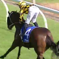 A Cracking Finish! Jockey Left Red-Faced After Falling Victim To Wardrobe Malfunction Mid-Race