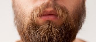 Men are sharing selfies of their beards and they are terrifying