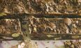 RECIPE: Rocky Road Bars