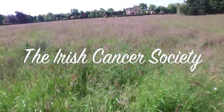 VIDEO: What This Limerick Hotel Has Done For The Irish Cancer Society Is Beautiful