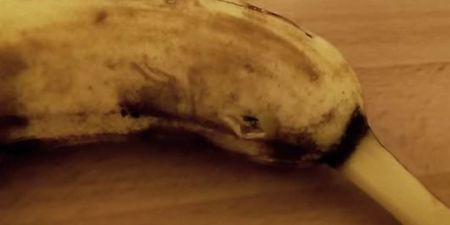 If You Like Bananas, You Definitely Don’t Want to Watch This Video