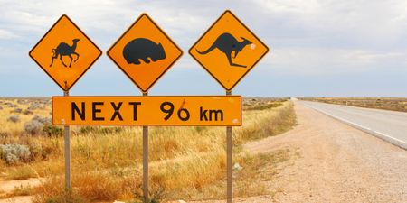 Home Is Where Your Passport Is: Road Tripping Down Australia’s West Coast