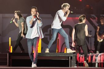 Niall Horan And Louis Tomlinson Confirm One Direction Break But Tell Fans ‘Don’t Worry’