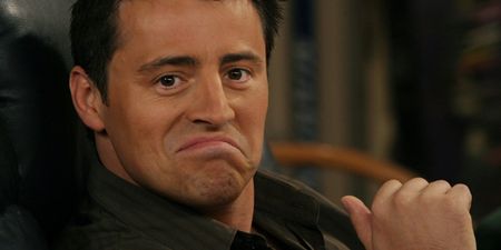 PICTURE: This GAA Fan Is The Absolute Image Of Matt LeBlanc