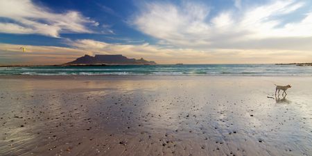 Home Is Where Your Passport Is: Explore The Beauty of South Africa