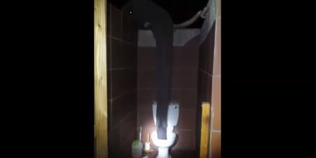 VIDEO: Imagine Going To The Bathroom And Meeting An…Elephant