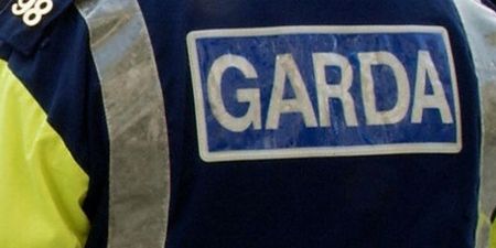 PICTURE: The Gardaí Are Making Us Smile Yet Again
