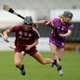 Wexford Camogie Board Launches Appeal Against Semi-Final Result