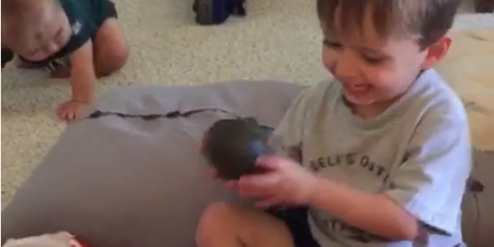 WATCH: This Kid Got An Avocado For His Birthday And Manages The Best Reply