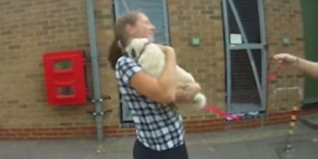 VIDEO: Stolen Dog Reunited with Owner