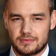 Liam Payne Hits Out at 1D Fans on Twitter