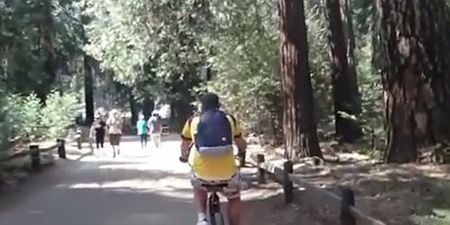 VIDEO: You Might Want to Book a Holiday to California After Seeing This