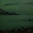 WATCH: This Video Of Whales Playing Under The Northern Lights Is Absolutely Stunning