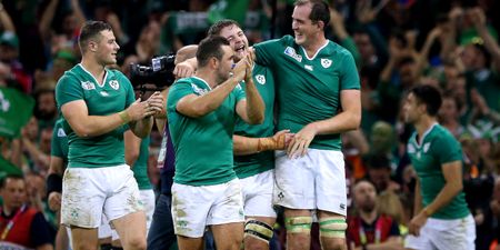VIDEO: Irish Fans Lose The Plot As Ireland Storm To Victory Over France