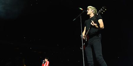 Niall Horan Gives Shout-Out to Irish Fans Following First Dublin Gig