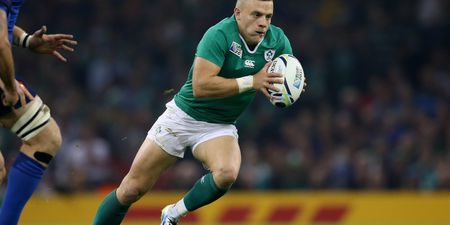 PICTURE: These Irish Fans Have A Brilliant Ian Madigan-Inspired Banner In Cardiff Today