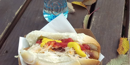 #Foodgate – People Are Going Mental Over The Price Of These Web Summit Hot Dogs