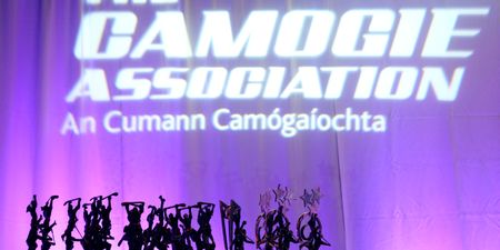 Cork And Galway Dominate 2015 Camogie All-Star Awards