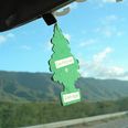 This Is The Reason All Car Fresheners Are Shaped Like Trees