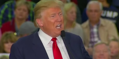 Donald Trump Mocks Disabled Reporter At Republican Rally
