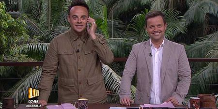 WATCH: A Hilarious Glitch On ‘I’m A Celebrity’ Last Night Had Twitter Users In Absolute Convulsions