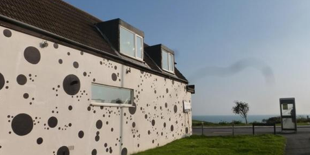PICTURES: There’s A House Dedicated To ‘101 Dalmatians’ And We Want To Buy It Now
