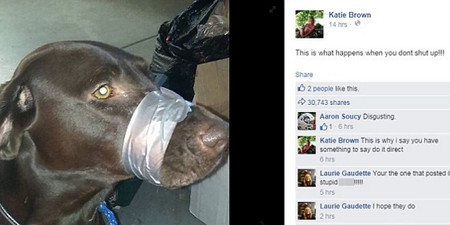 Woman Who Sparked Outrage Online After Duct-Taping Her Dog Is Facing Jail Time