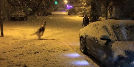 PICS: Looks Like Our White Irish Christmas Dreams Have Come Early