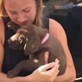 VIDEO: Man Enlists Puppy’s Help To Propose To His Girlfriend
